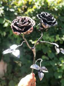 Steel Rose