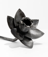 Load image into Gallery viewer, Steel Daffodil