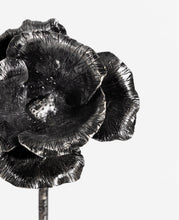 Load image into Gallery viewer, Steel Poppy