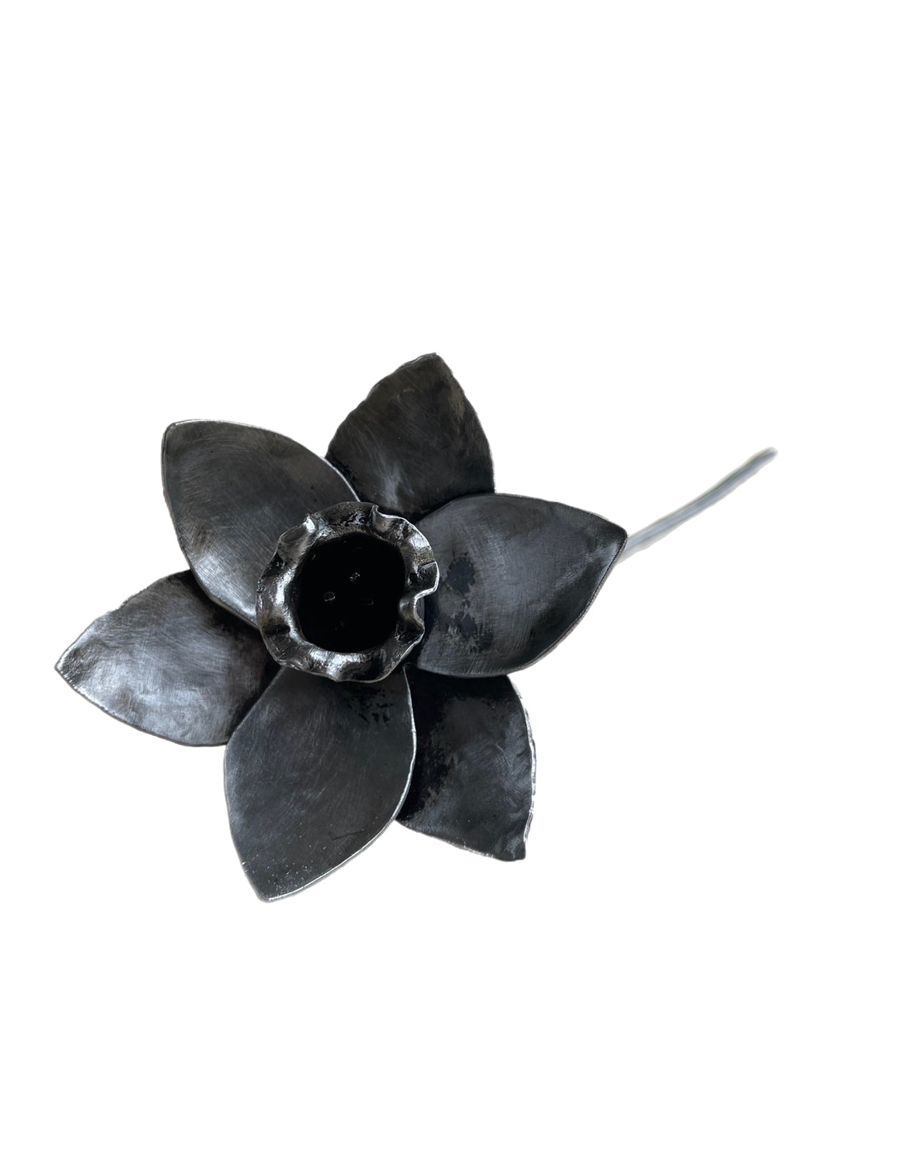 Steel Daffodil